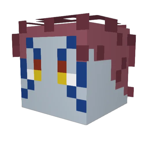 TUNA4LIFE11 Minecraft avatar head, 3D render