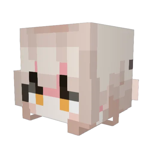 TUNAWIDTH Minecraft avatar head, 3D render