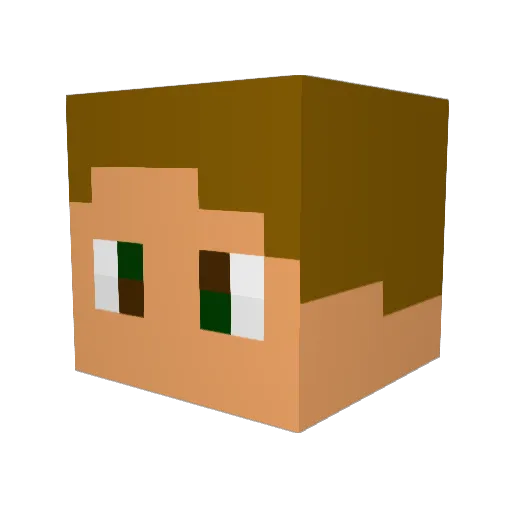 TURKEYYOLOSWAG Minecraft avatar head, 3D render