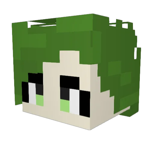 TURTLEMAN_0118 Minecraft avatar head, 3D render
