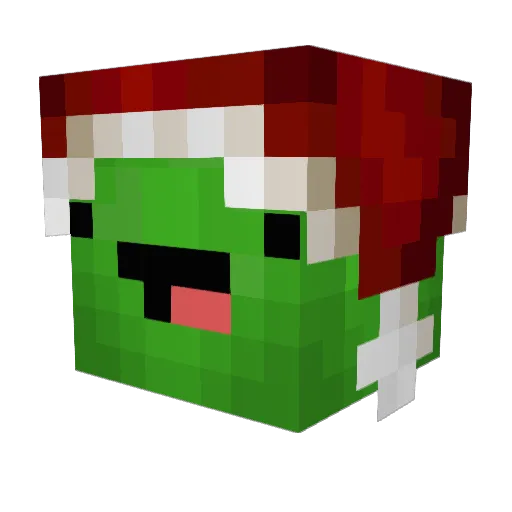 TURTLER2000 Minecraft avatar head, 3D render