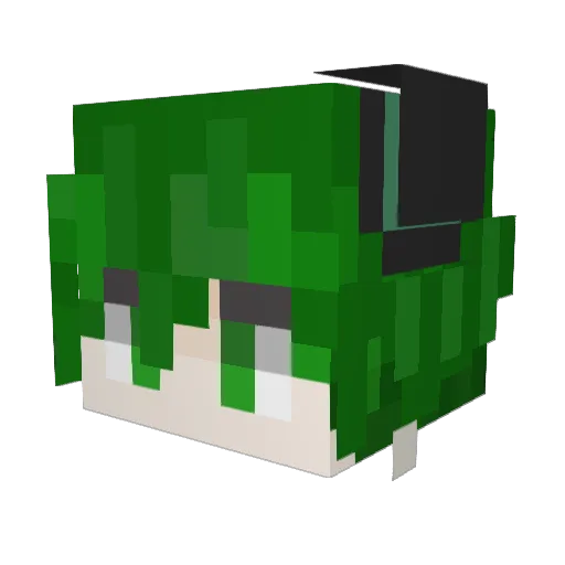 TURTLES_0118 Minecraft avatar head, 3D render