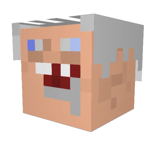 TURTLE_OOF Minecraft avatar head, 3D render