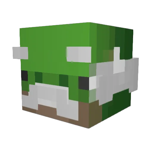 TURTLE_______ Minecraft avatar head, 3D render