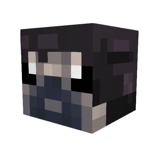 TVFilthyPug Minecraft avatar head, 3D render