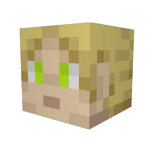 TVN1993 Minecraft avatar head, 3D render