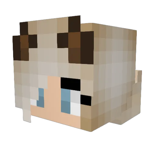 TVN3 Minecraft avatar head, 3D render