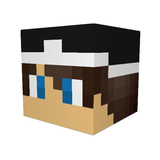 TVOGA Minecraft avatar head, 3D render