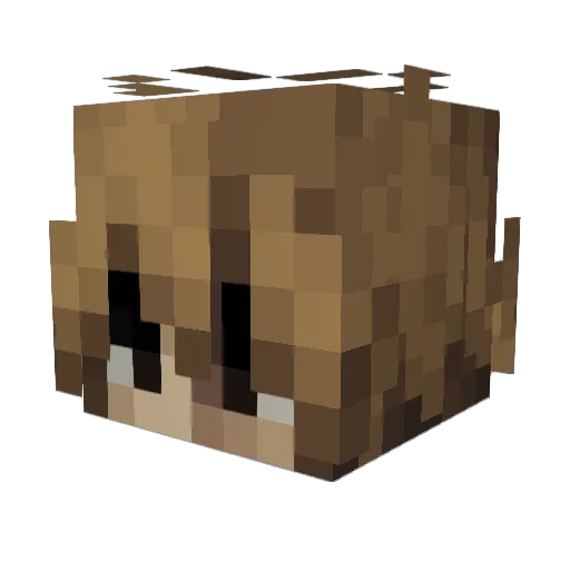 TVTStorm16 Minecraft avatar head, 3D render