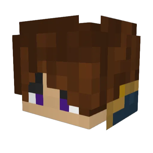 TV_Enderwolf113 Minecraft avatar head, 3D render