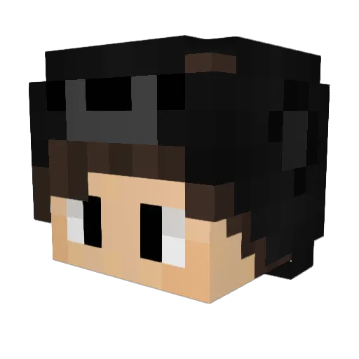 TV_HSM Minecraft avatar head, 3D render