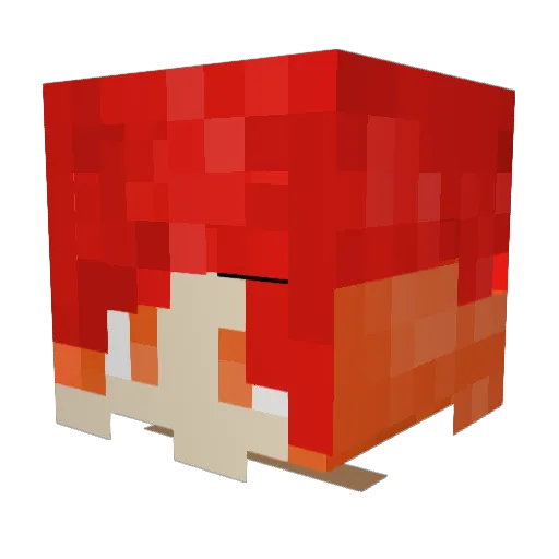 TV_On_Fire54 Minecraft avatar head, 3D render