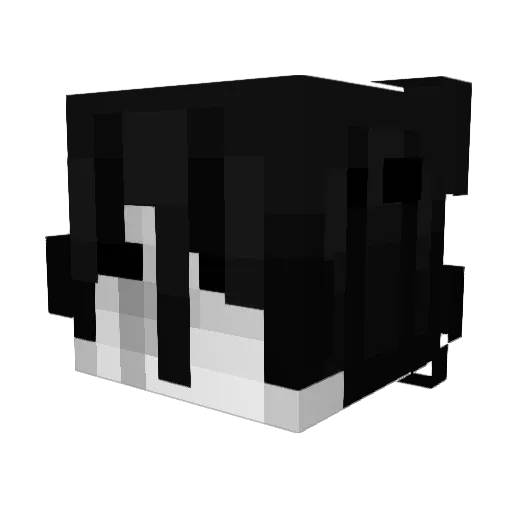 TV_venanim Minecraft avatar head, 3D render