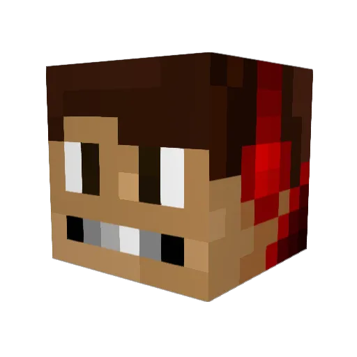 TVisionary Minecraft avatar head, 3D render