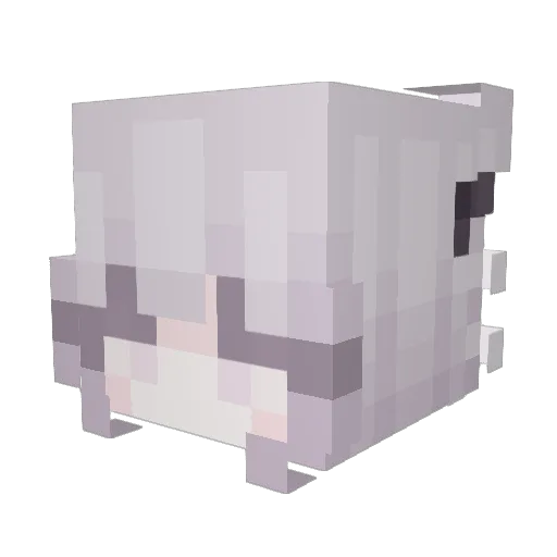 TWBreath Minecraft avatar head, 3D render