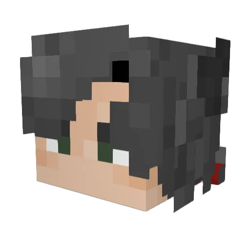 TWC4th Minecraft avatar head, 3D render
