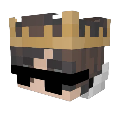 TWINGSWING Minecraft avatar head, 3D render