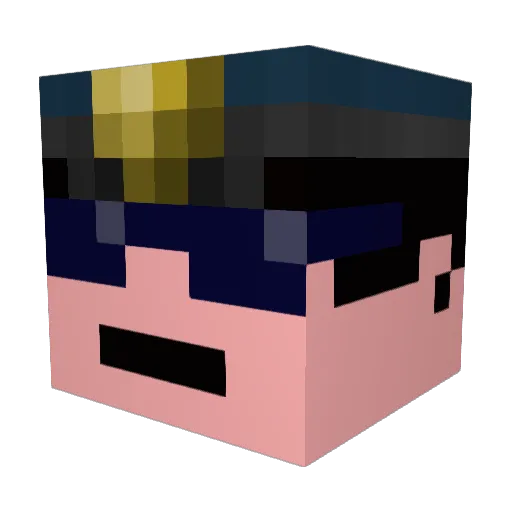 TWINHARRY Minecraft avatar head, 3D render