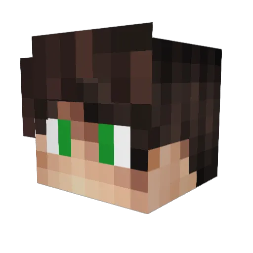 TWIST_2 Minecraft avatar head, 3D render