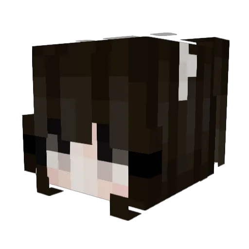TWITCH_FATFART44 Minecraft avatar head, 3D render