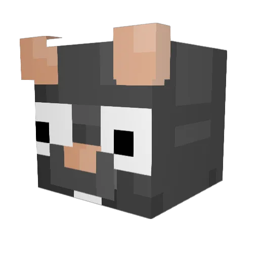 TWIXIECOOKIE Minecraft avatar head, 3D render