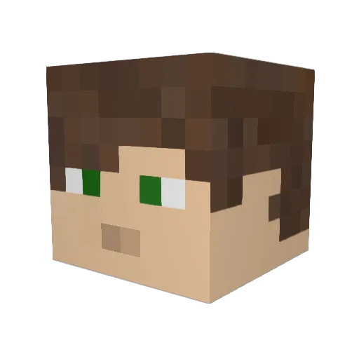 TWOJZEROPONE Minecraft avatar head, 3D render