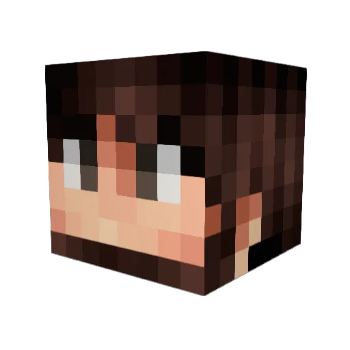TWSDK08 Minecraft avatar head, 3D render
