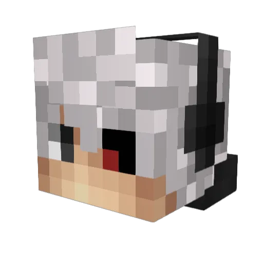 TW_Pzm Minecraft avatar head, 3D render