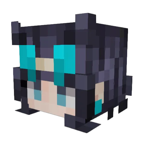 TW_SANS Minecraft avatar head, 3D render