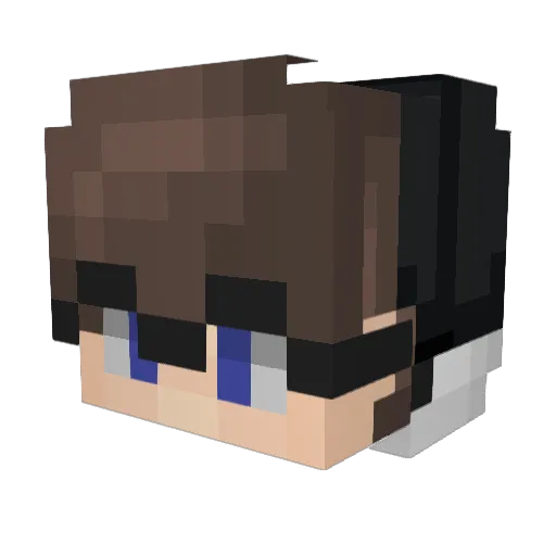 TW_WeiLi Minecraft avatar head, 3D render