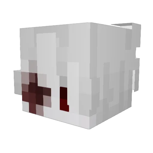 TW_maxcenlol Minecraft avatar head, 3D render