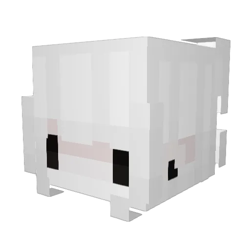 TW_patrickchiu02 Minecraft avatar head, 3D render