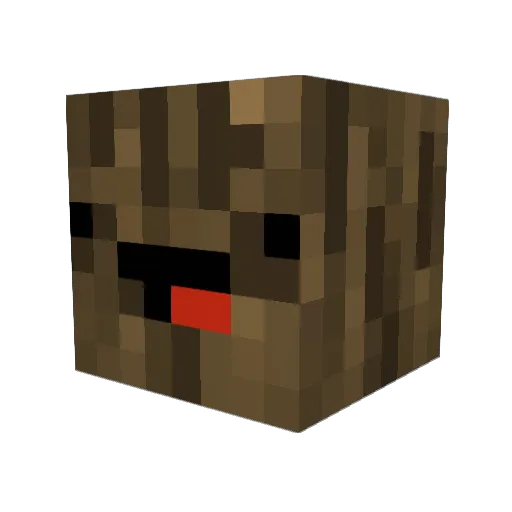 TWhit229 Minecraft avatar head, 3D render