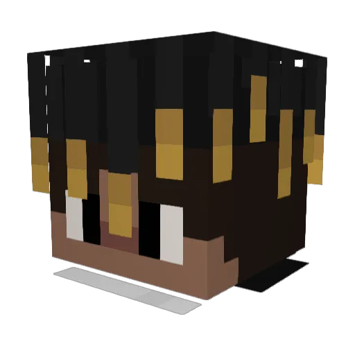 TWin9s Minecraft avatar head, 3D render