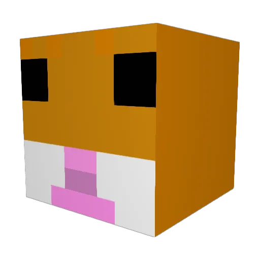 TXNagz Minecraft avatar head, 3D render