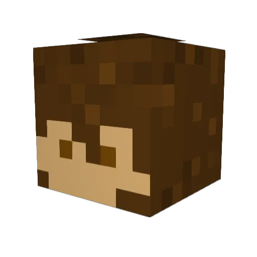 TXRConure Minecraft avatar head, 3D render
