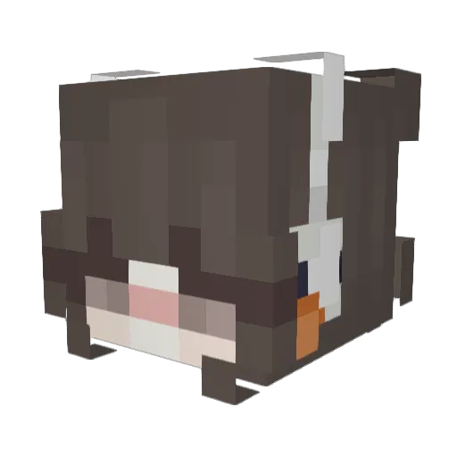 TX_CN Minecraft avatar head, 3D render