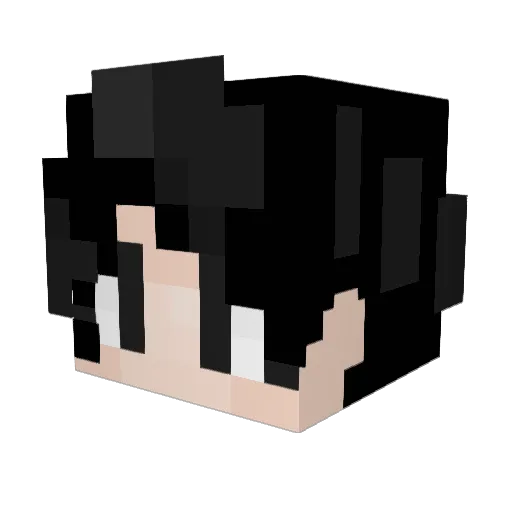 TY0809 Minecraft avatar head, 3D render