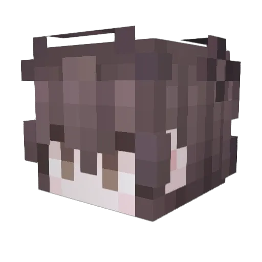 TYH200 Minecraft avatar head, 3D render