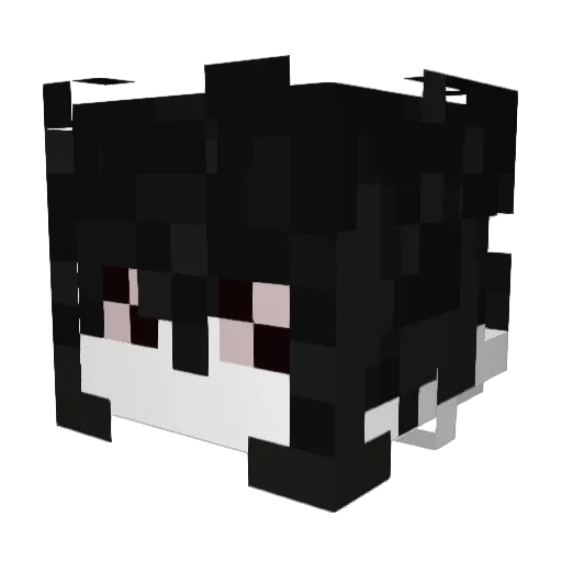 TYKOSUKKI Minecraft avatar head, 3D render