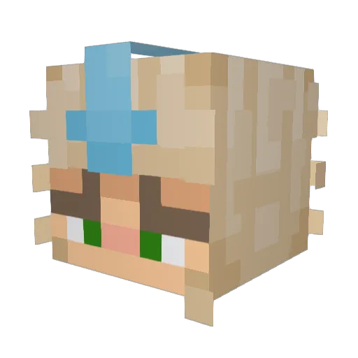 TYLERBUCKS1228 Minecraft avatar head, 3D render