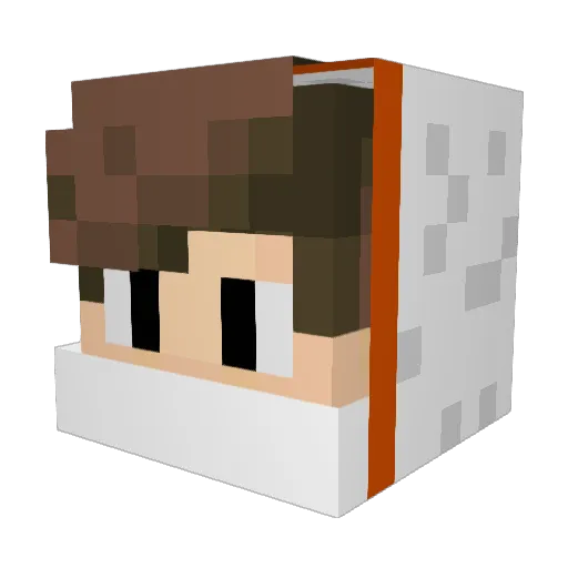 TYLucasYT Minecraft avatar head, 3D render