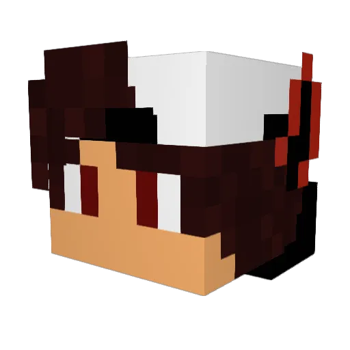 TYSPenguin Minecraft avatar head, 3D render