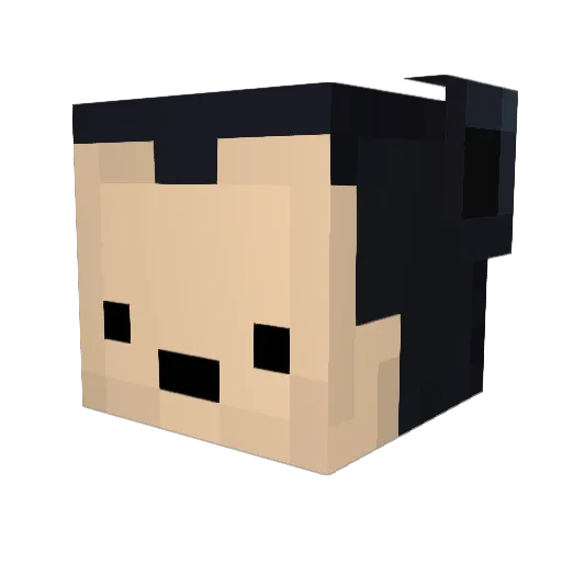 TYTAS8 Minecraft avatar head, 3D render