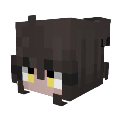 TYellowCat267 Minecraft avatar head, 3D render