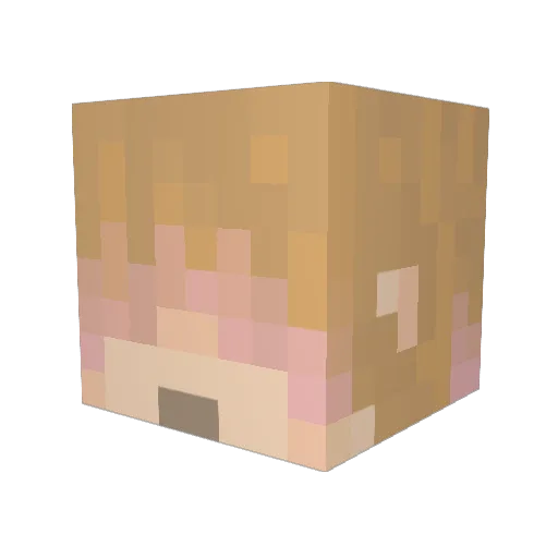 TYellowFinch Minecraft avatar head, 3D render