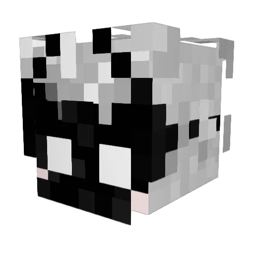 TYeon_ Minecraft avatar head, 3D render