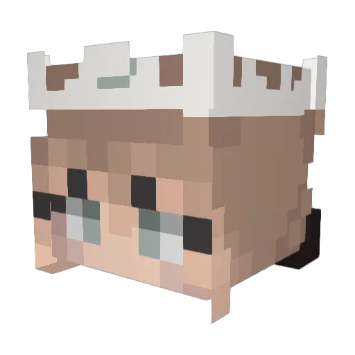TYfox204 Minecraft avatar head, 3D render