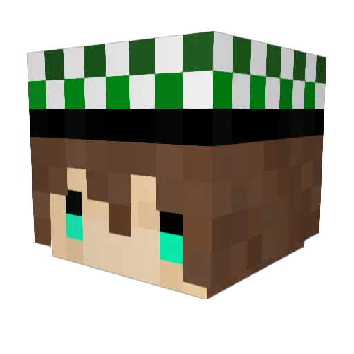 TZJIE Minecraft avatar head, 3D render