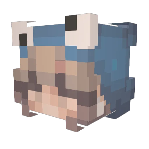 T_A_I_G_A Minecraft avatar head, 3D render